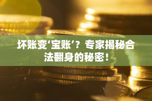 济南坏账变‘宝账’？专家揭秘合法翻身的秘密！