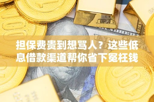 济南担保费贵到想骂人？这些低息借款渠道帮你省下冤枉钱