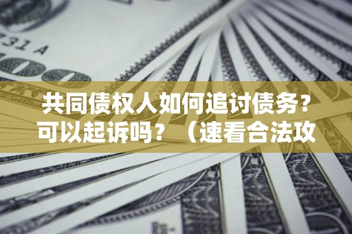 济南共同债权人如何追讨债务？可以起诉吗？（速看合法攻略）